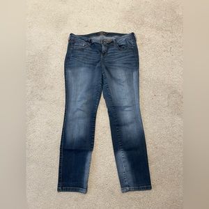 Torrid Premium Jeans